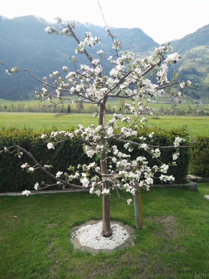 Wallner * Zell am Ziller